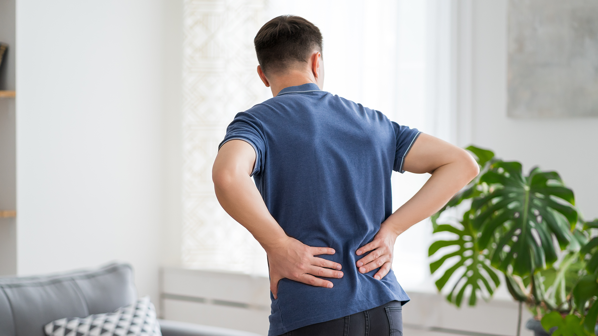 Reasons to Consider Physiowell for Your Spinal Health in Dubai.